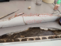IMG_20230105_133308-vorher-
